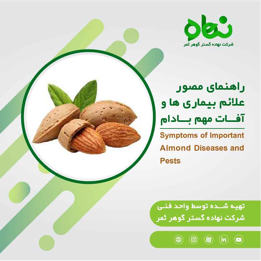 Symptoms of important disease and pests of almond